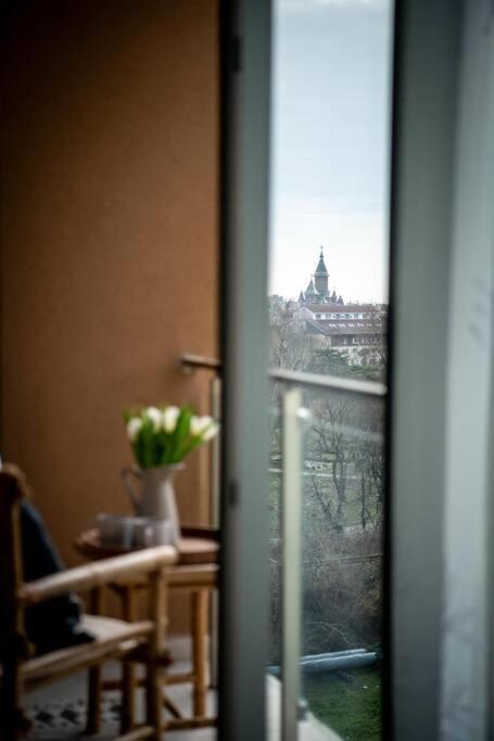 Botanic View ,relaxing&cozy דירה *